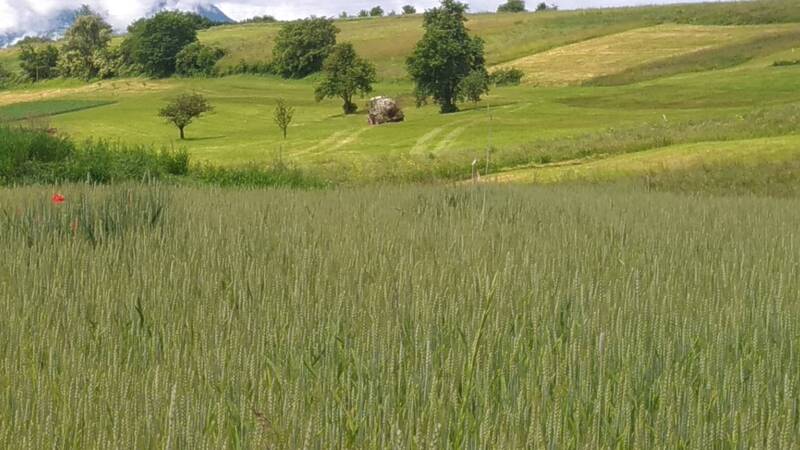 Gestione degli effluenti zootecnici in Provincia Autonoma di Trento