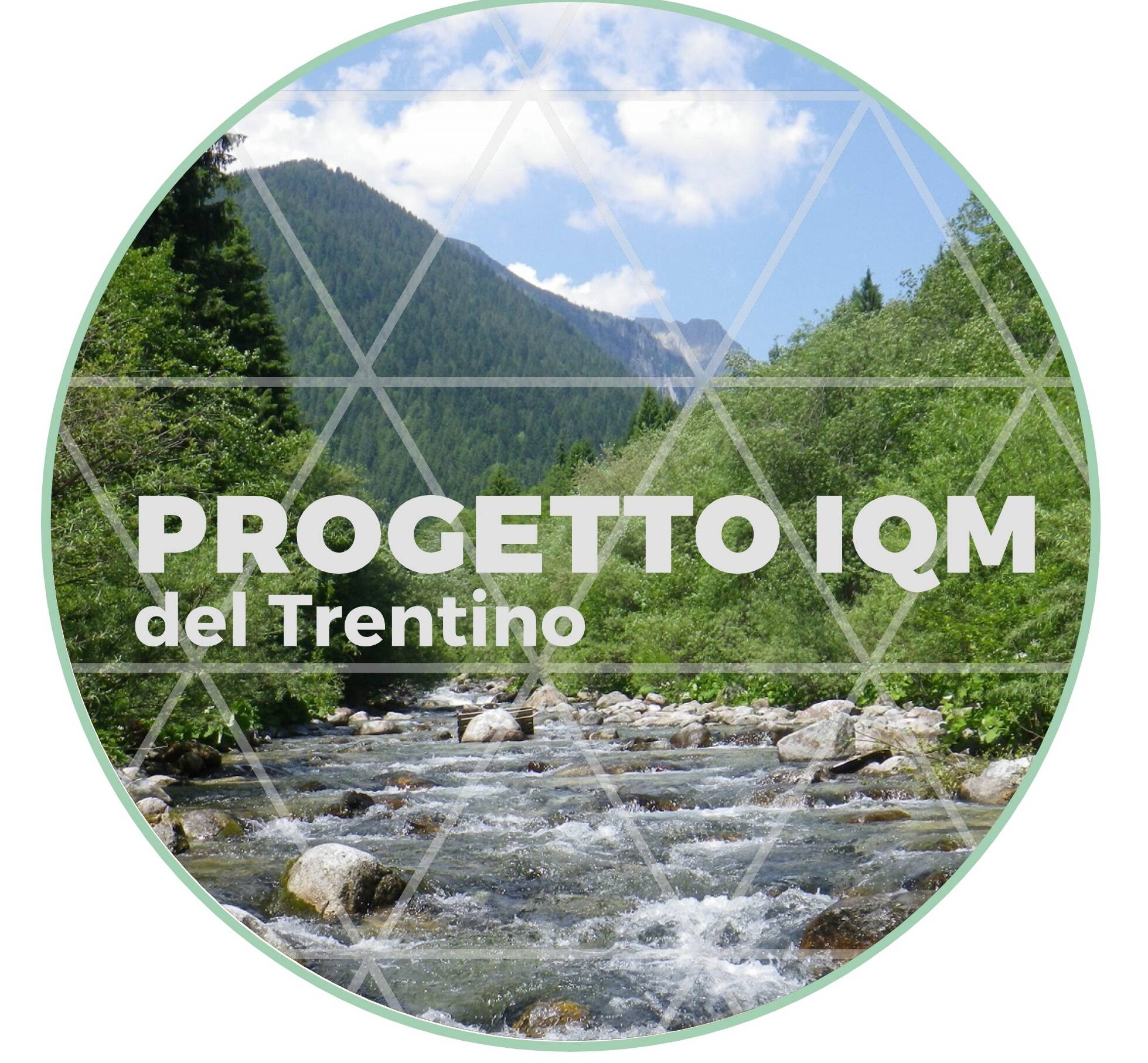 Immagine: Indice di qualità morfologica 