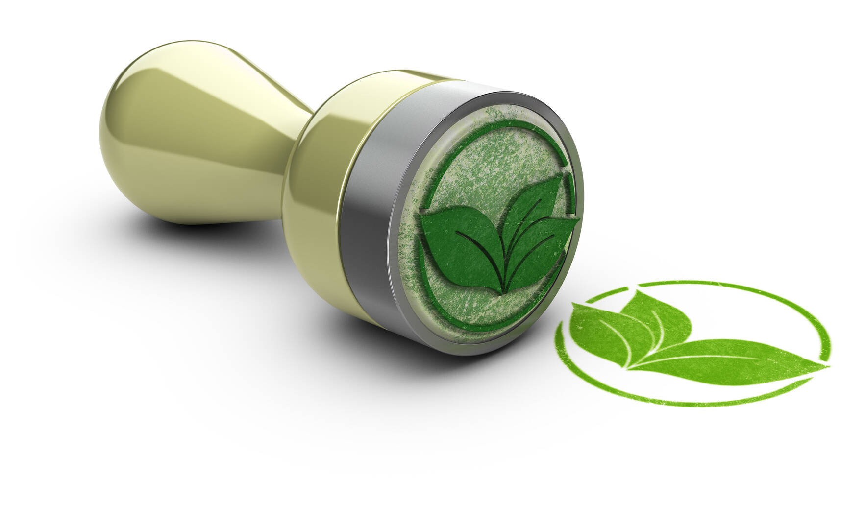 Immagine: Le ecoetichette