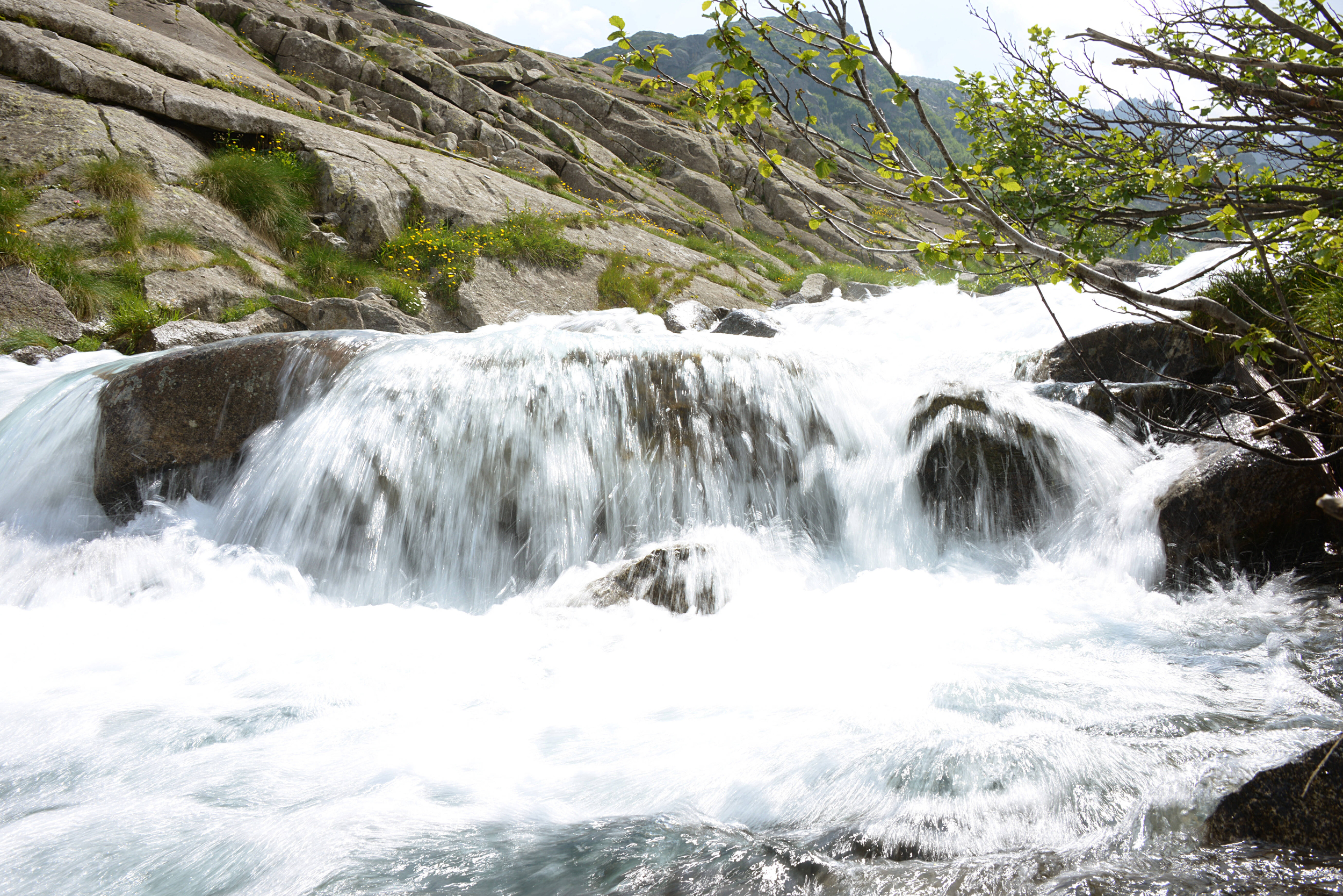 Immagine: Linee guida per la definizione dei piani di monitoraggio - effetti derivazioni idriche