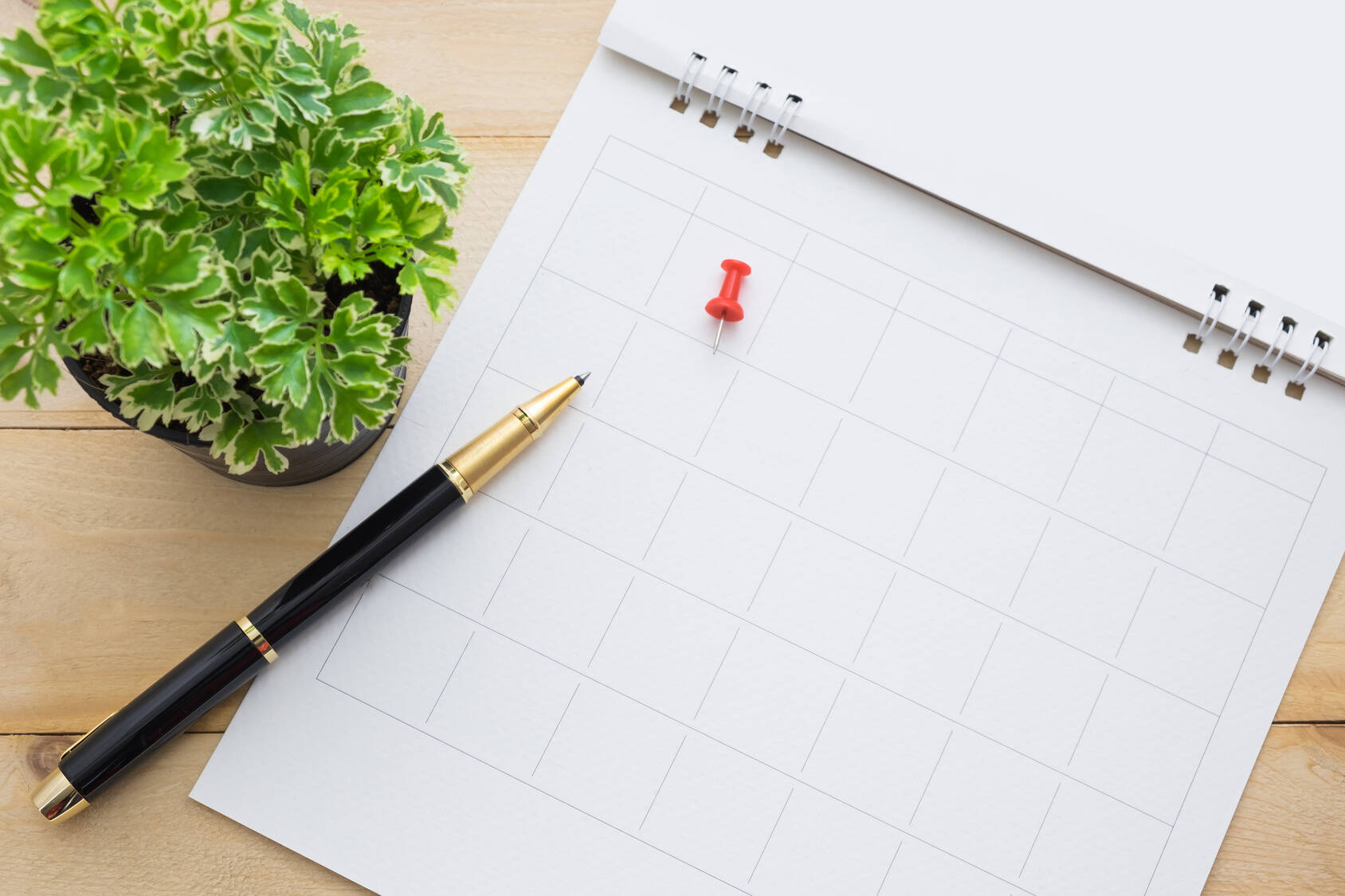 Immagine: Presentazione di osservazioni pubbliche ai procedimenti in materia di valutazione ambientale