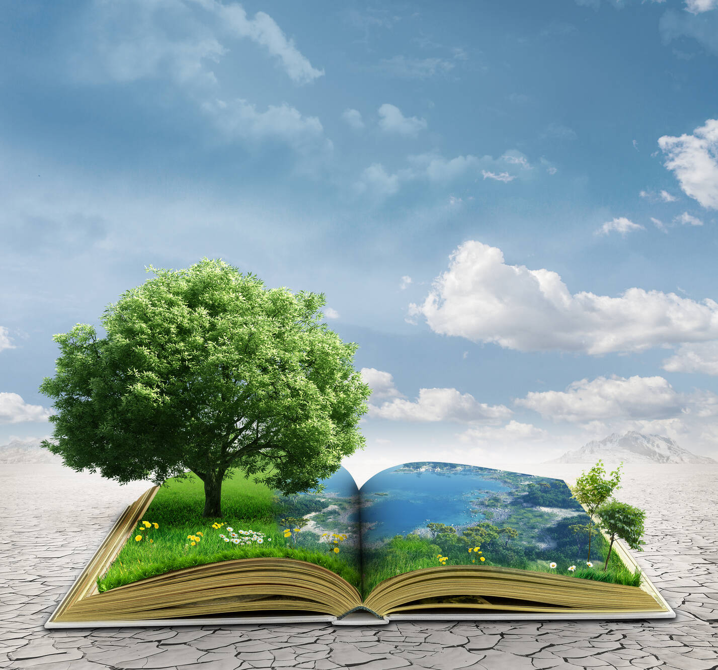 Immagine: Rapporto sullo stato dell'ambiente 2016