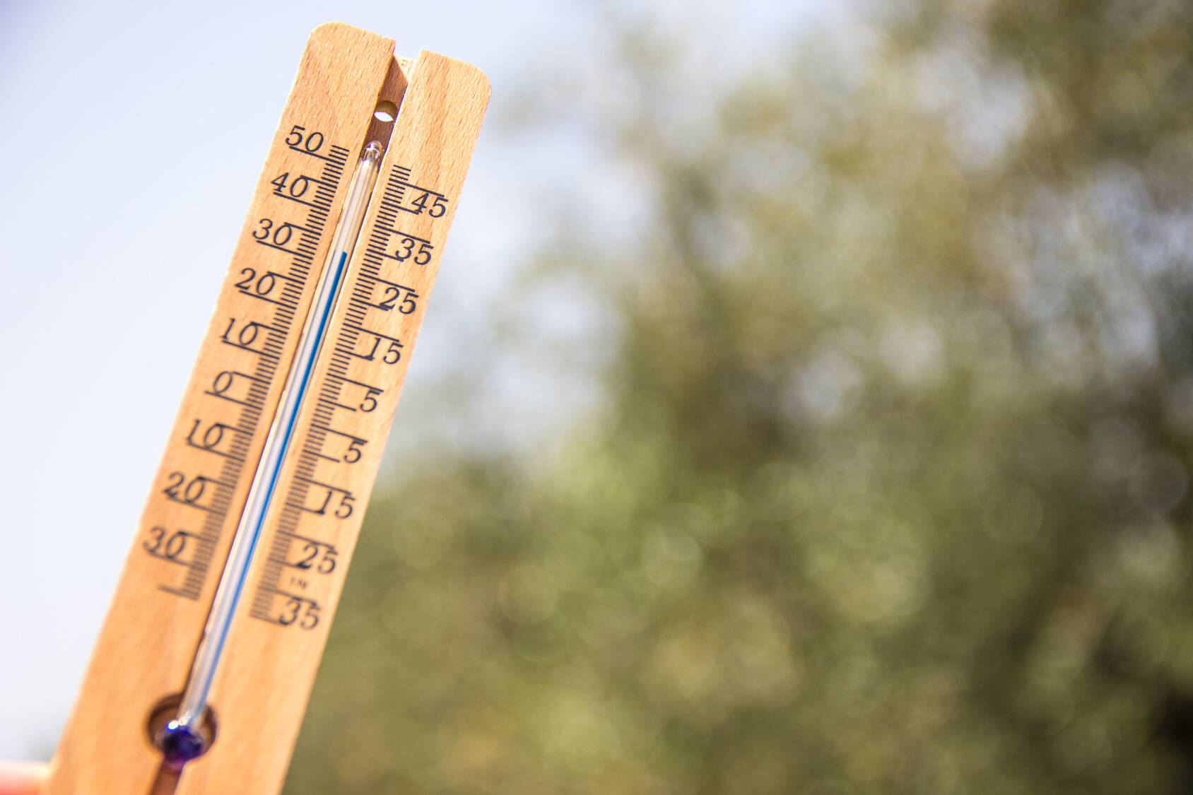 Immagine: Reports degli studi e dei progetti per il Clima