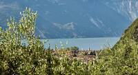 Immagine: Punti di monitoraggio laghi in Trentino
