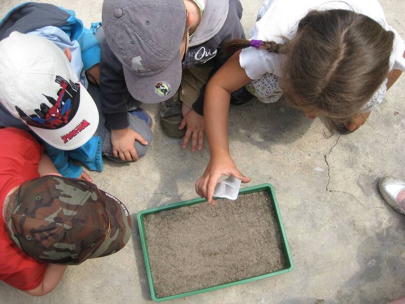 Il nuovo catalogo "Educazione ambientale e alla sostenibilità" - anno scolastico 25-26 