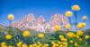 Immagine decorativa per il contenuto Webgis trasversale VIA
