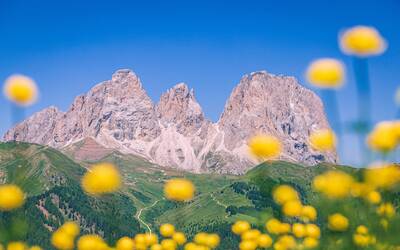 Immagine: Webgis trasversale VIA