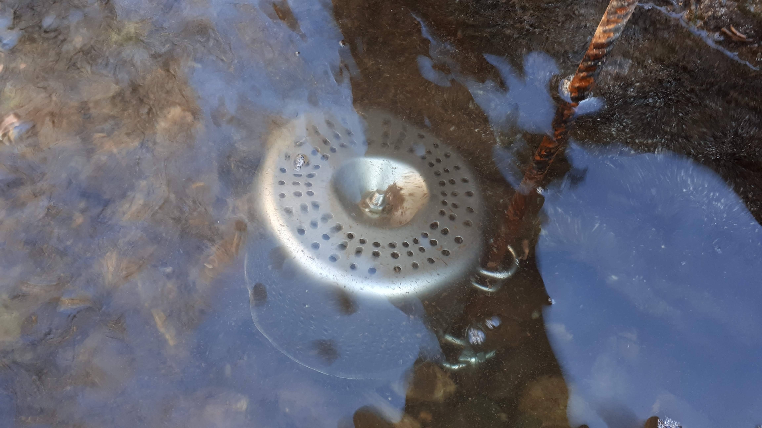 Immagine: 20190328_151642