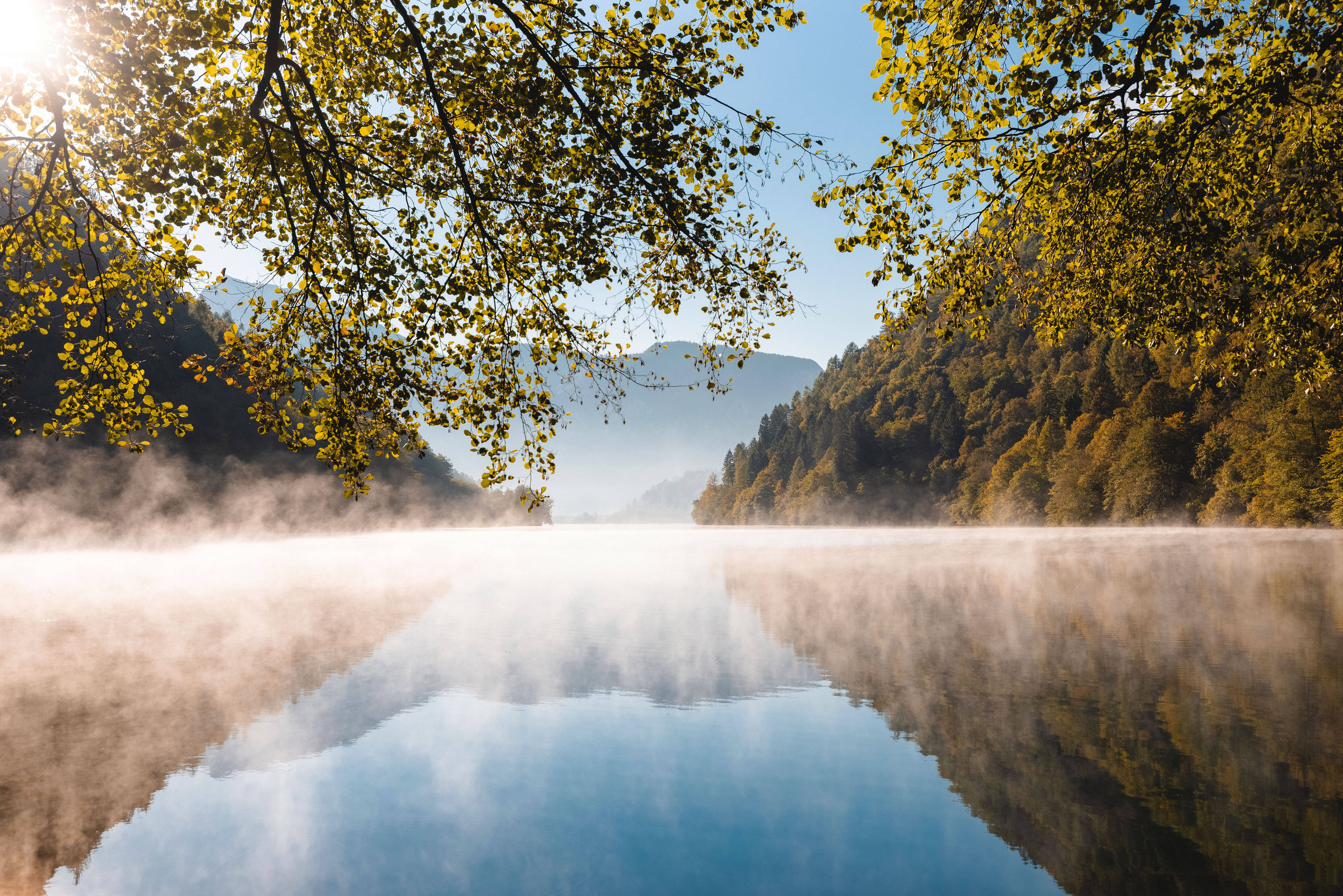 Immagine: 45811