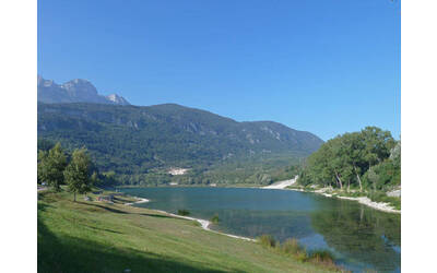 Immagine: 4_Teli Terlago e macrofite