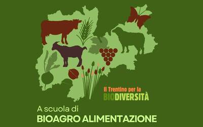 Immagine: A scuola d i bioagroalimentazione