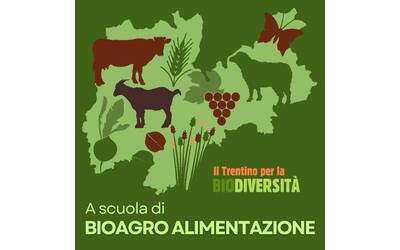 Immagine: agrobiodiversita