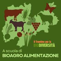Immagine: agrobiodiversita