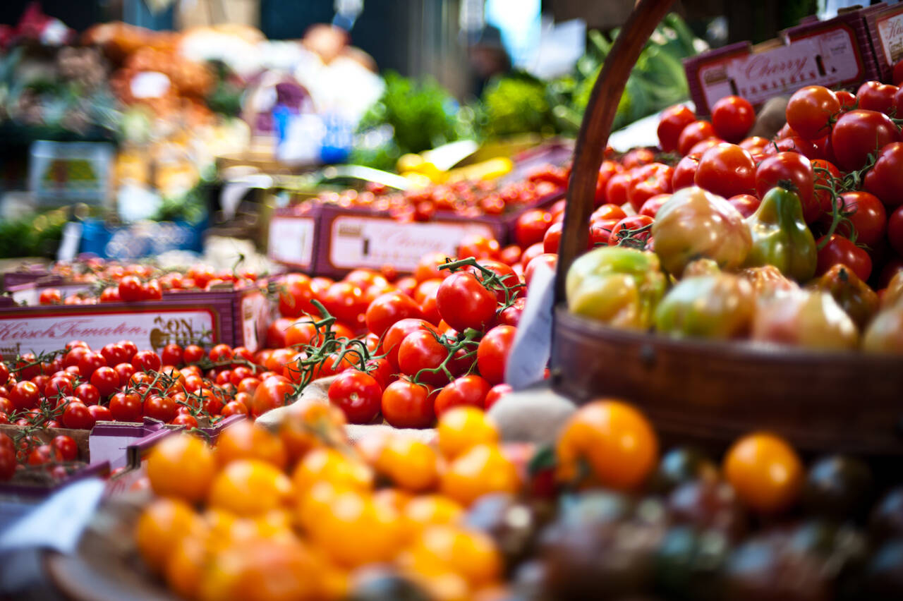 Immagine: alimentazione