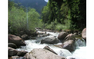 Immagine: avisio_affluente_2