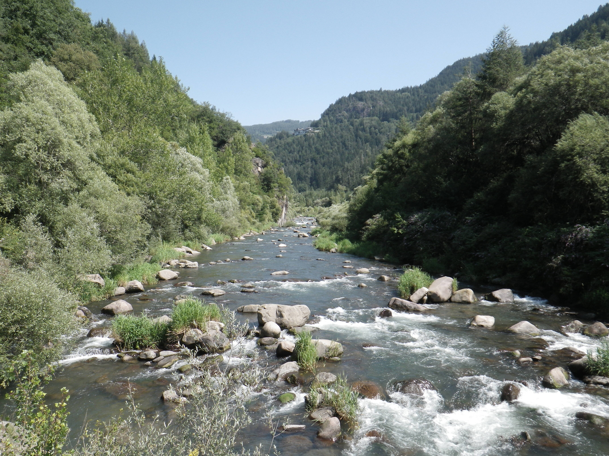 Immagine: avisio_asta
