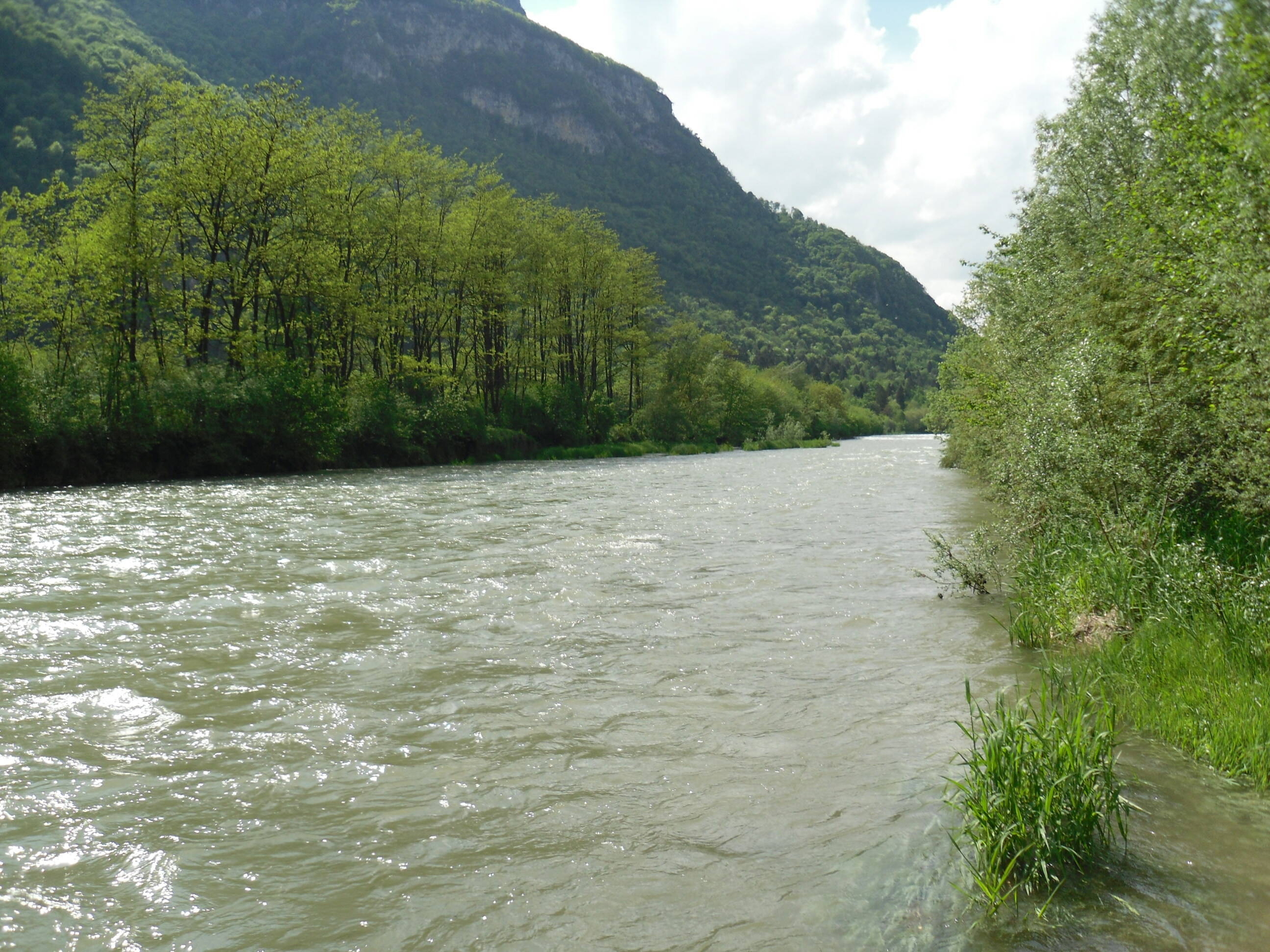 Immagine: brenta_asta