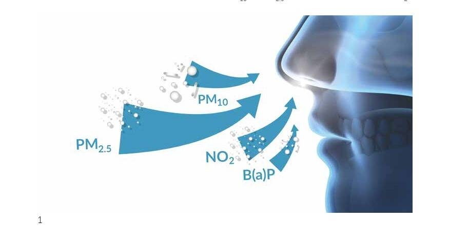 Immagine: brochure_biomasse_5_WEB_page-0004