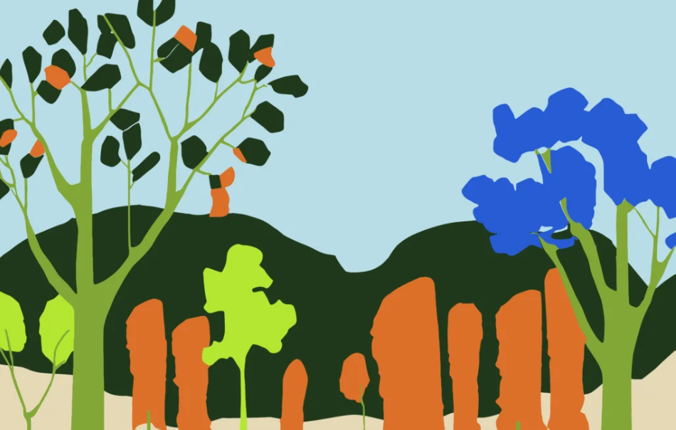 Immagine: canto terra