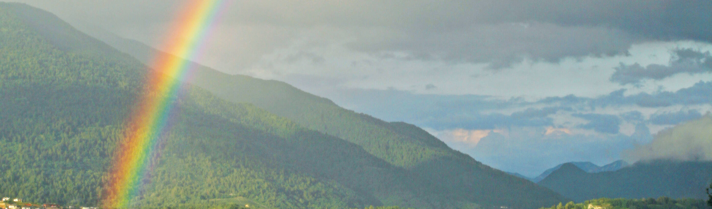 Immagine: cap11-ES1059estateD