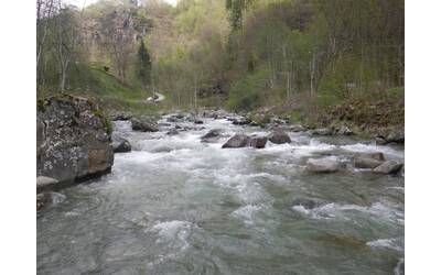 Immagine: Chiese (1)