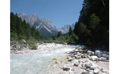 Immagine: cismon-1_reference_reference