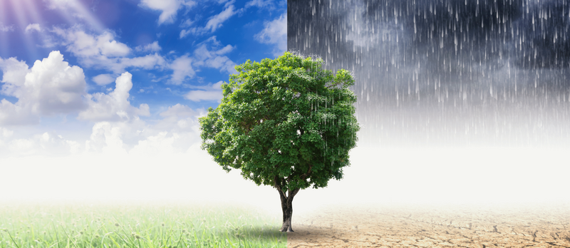 Forum dell’Osservatorio nazionale per l’adattamento ai cambiamenti climatici