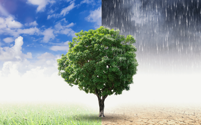 Immagine: clima1