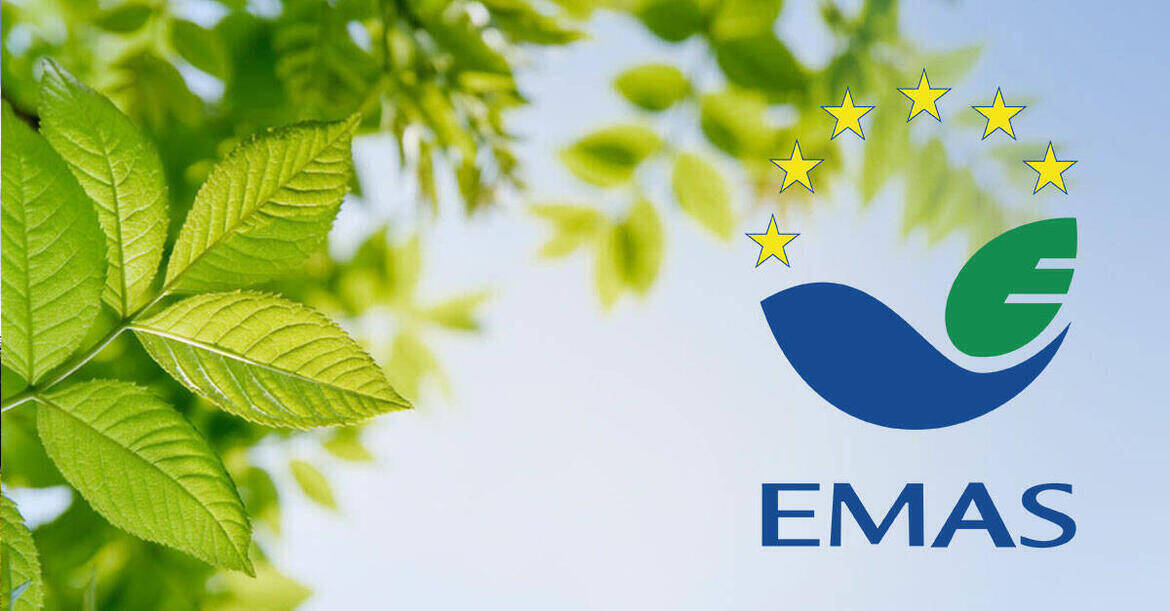 Immagine: EMAS_reference (2)