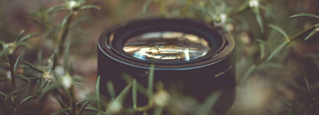 Immagine: green film