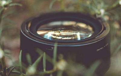 Immagine: green film