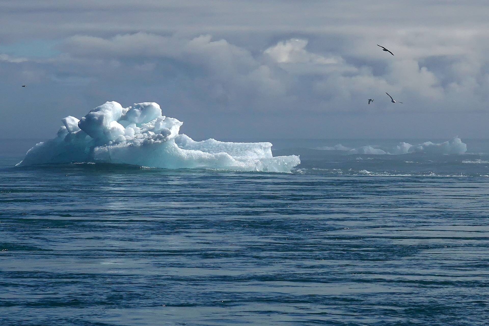 Immagine: iceberg-6779681_1920