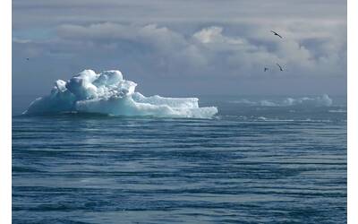 Immagine: iceberg-6779681_1920