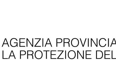 Immagine: Il-logo-dell-Agenzia-provinciale-per-la-protezione-dell-ambiente_reference