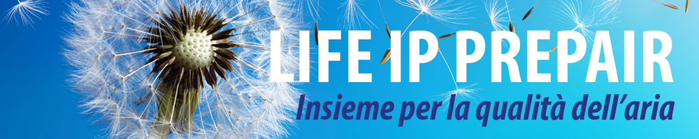 Immagine: Insieme_banner-sito-Prepair