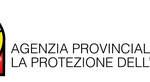 Immagine: Logo_Appa_Colori_Orizzontale.1465401267