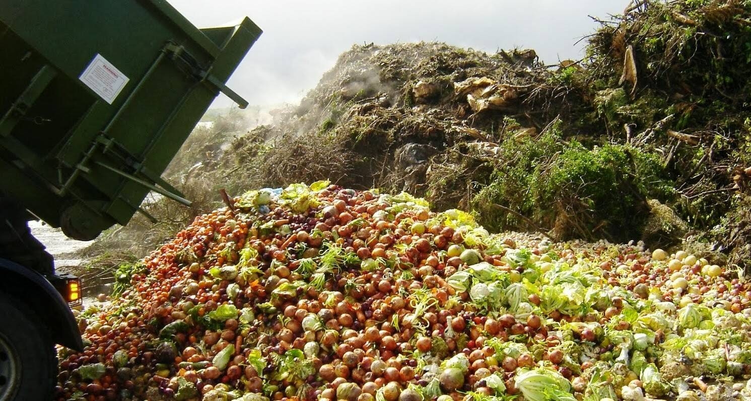 Immagine: lotta-allo-spreco-alimentare