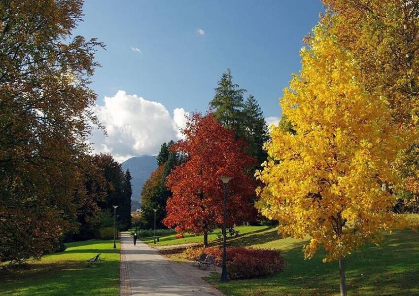 Immagine: parco levico