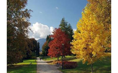Immagine: parco levico
