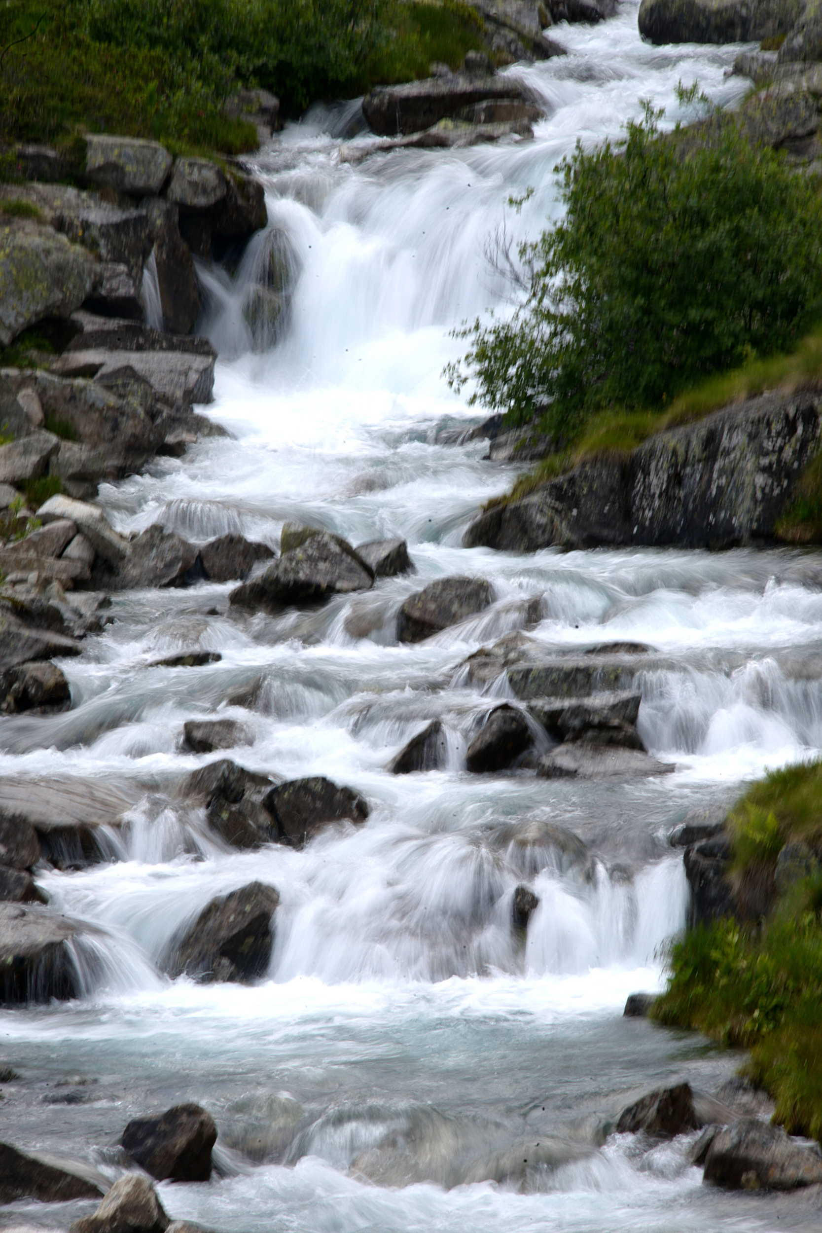 Immagine: PED_9124 (1)