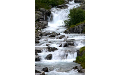 Immagine: PED_9124 (1)
