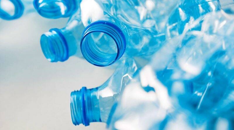Immagine: plastic free