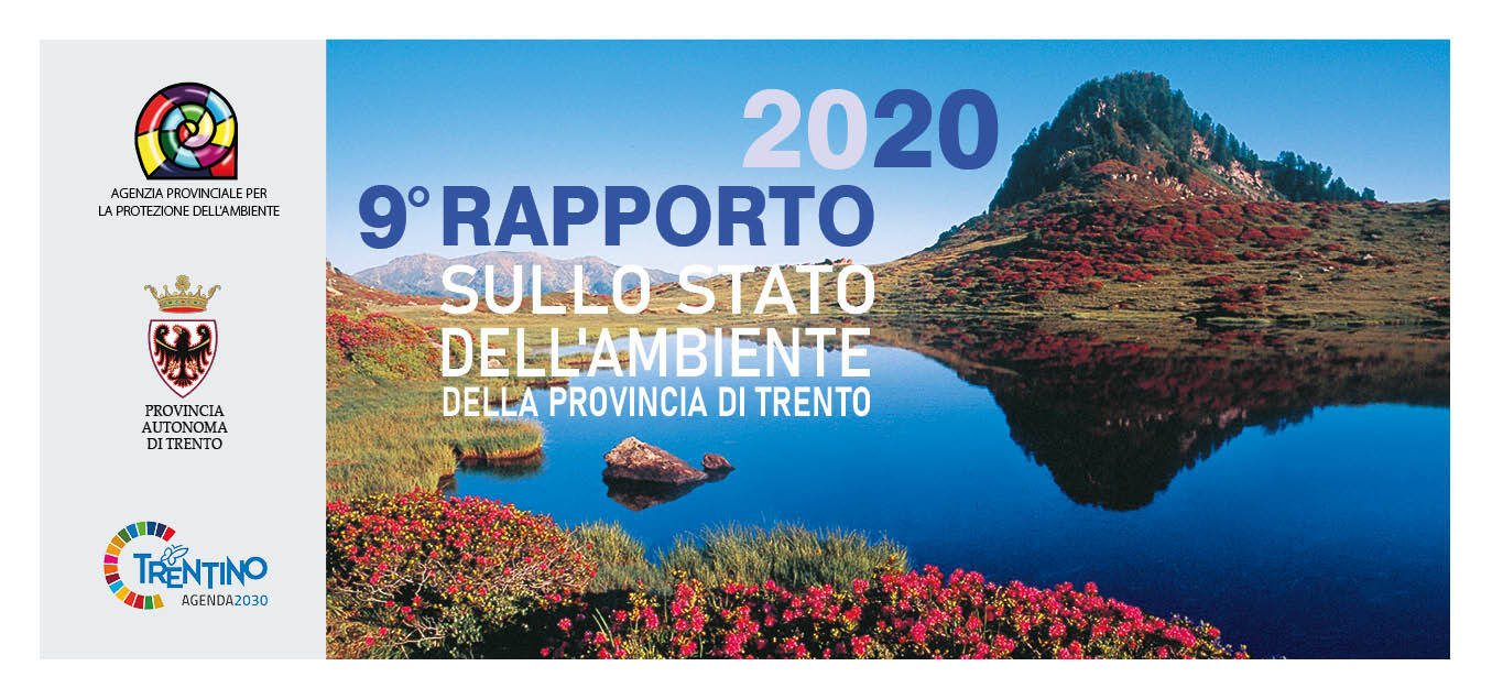 Immagine: RSA 2020_copertina_orizzontale