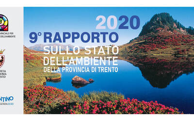 Immagine: RSA 2020_copertina_orizzontale