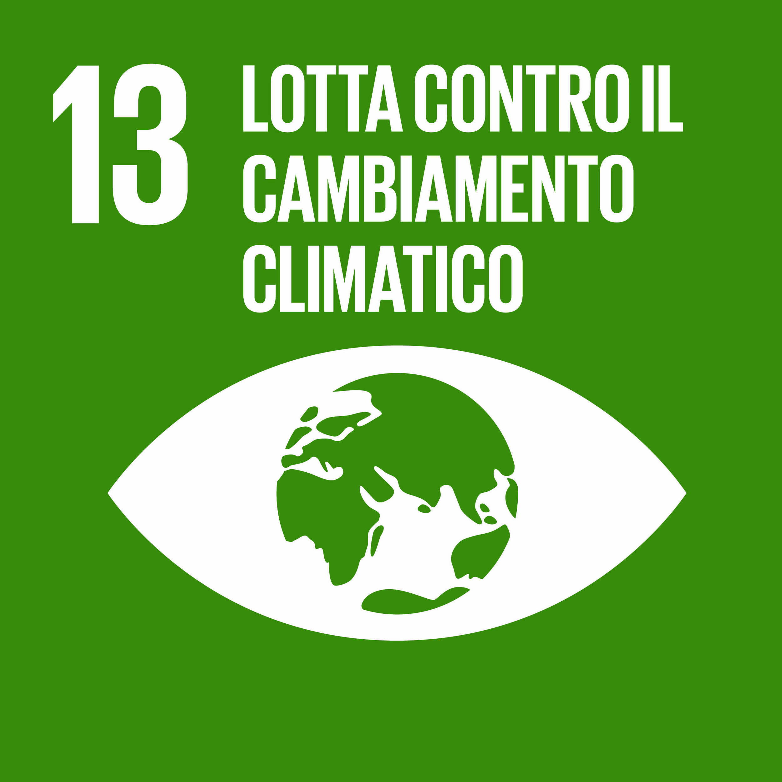 Immagine: SDG ITA-13
