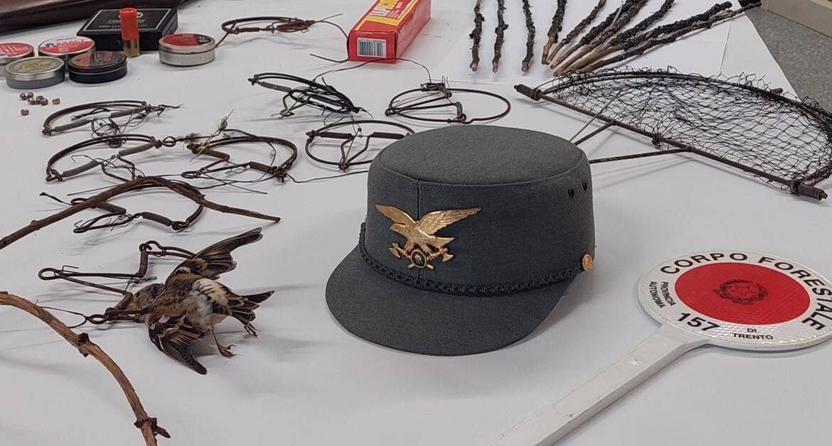 Immagine: Sequestro-trappole-e-trofeo-cervo_imagefullwide