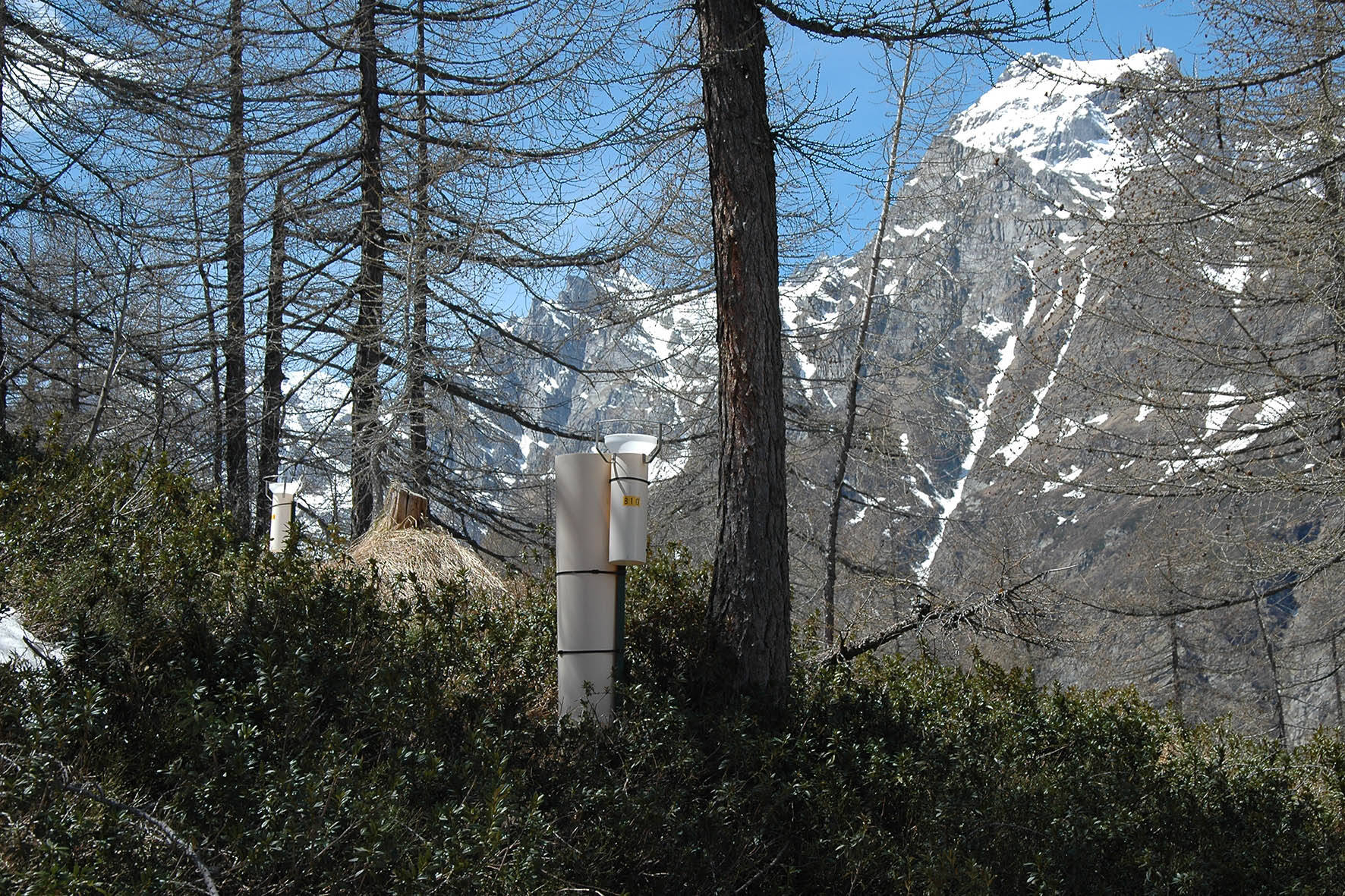 Immagine: Stazione-di-monitoraggio-forestale-4