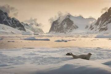 Lancio della 1a Giornata Mondiale dei Ghiacciai e evento cardine Giornata Mondiale dell'Acqua 