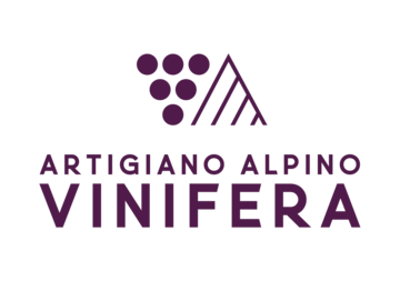 Vinifera 