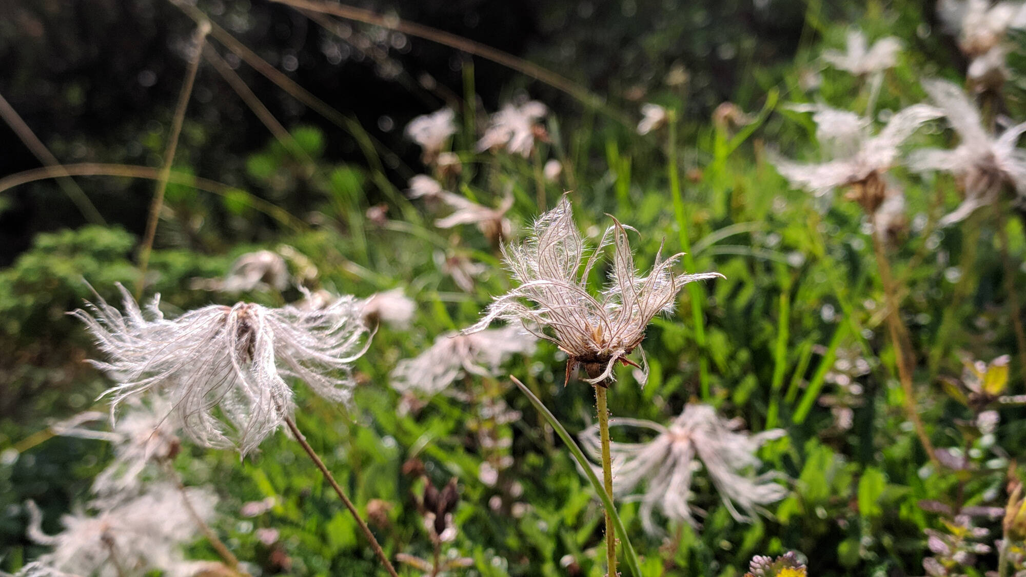 Immagine: Partecipazione alle valutazioni ambientali Piano provinciale gestione dei rifiuti